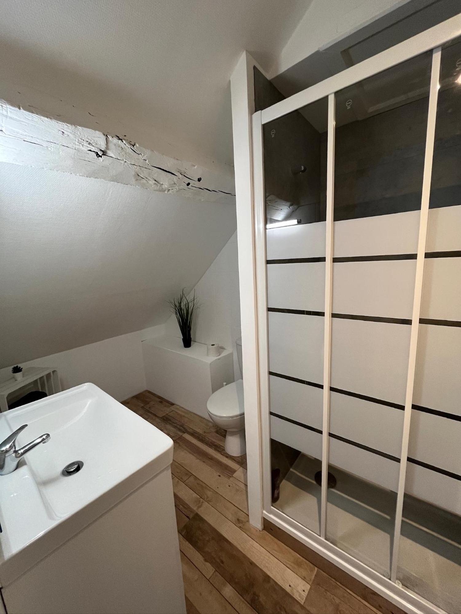 Residence 3 Studios De Charme Dans Centre Proche Cathedrale, Parking Possible A Prox أورلييو المظهر الخارجي الصورة