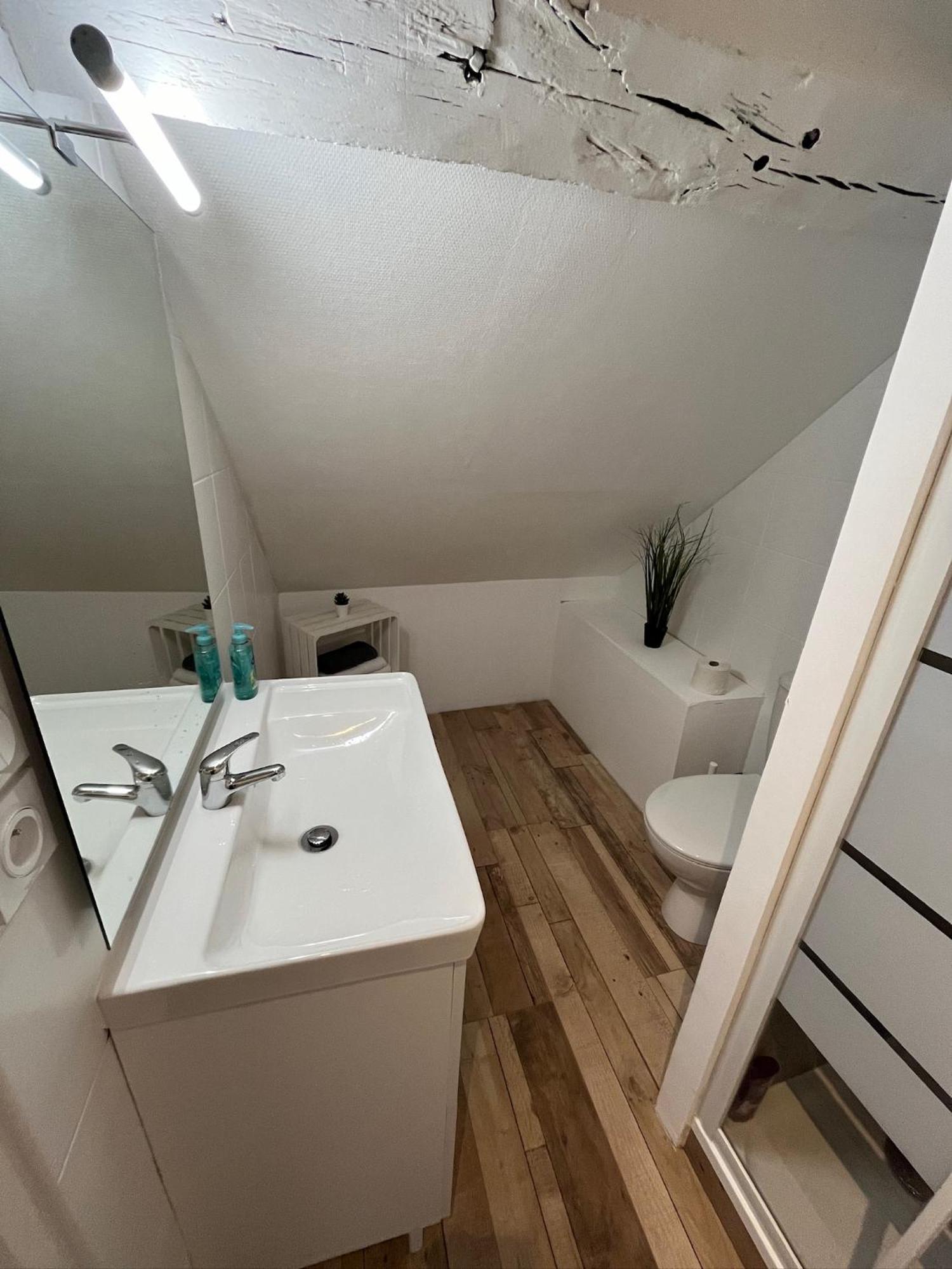 Residence 3 Studios De Charme Dans Centre Proche Cathedrale, Parking Possible A Prox أورلييو المظهر الخارجي الصورة
