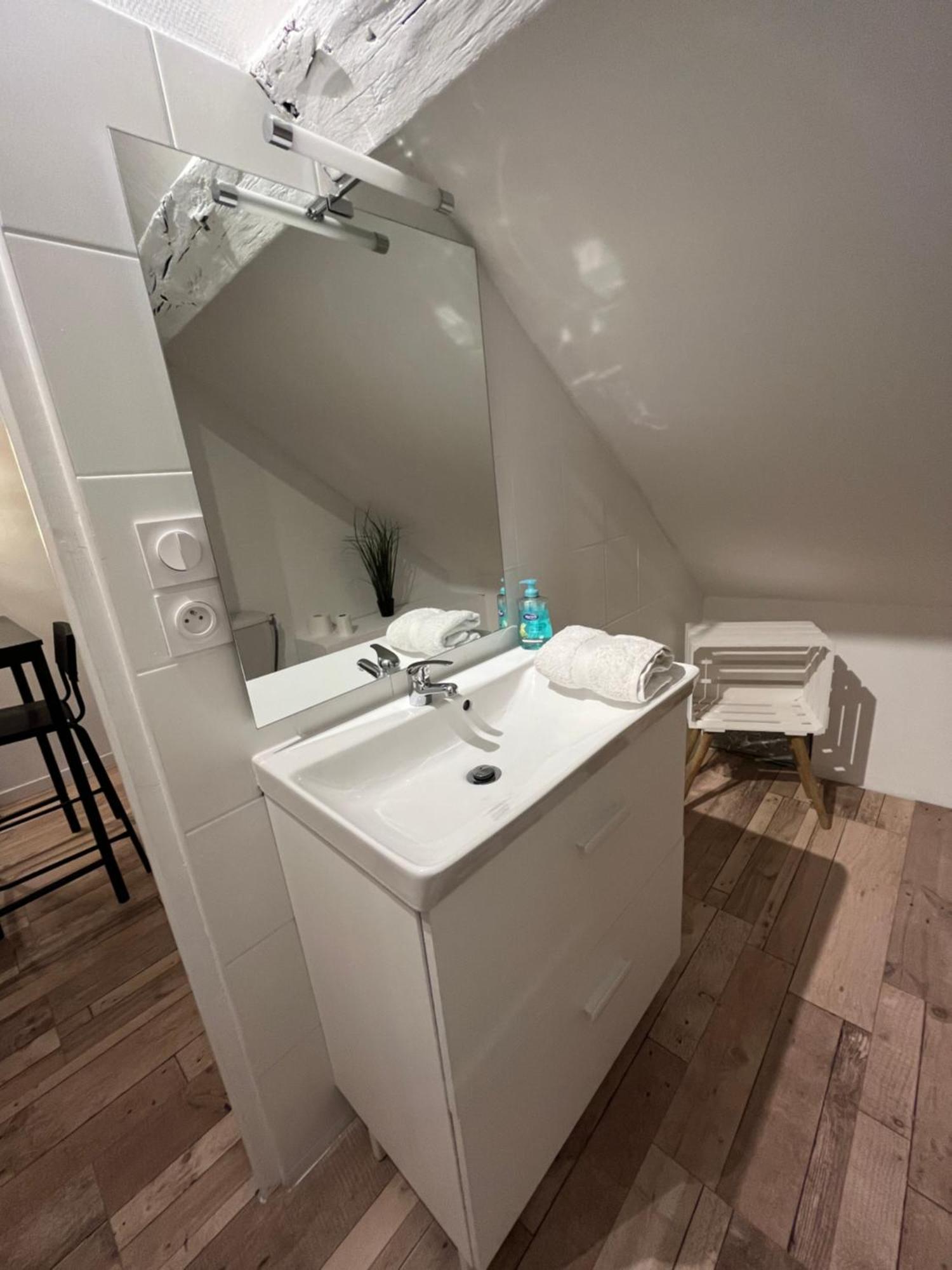 Residence 3 Studios De Charme Dans Centre Proche Cathedrale, Parking Possible A Prox أورلييو المظهر الخارجي الصورة